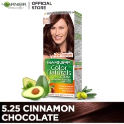 GARNIER color